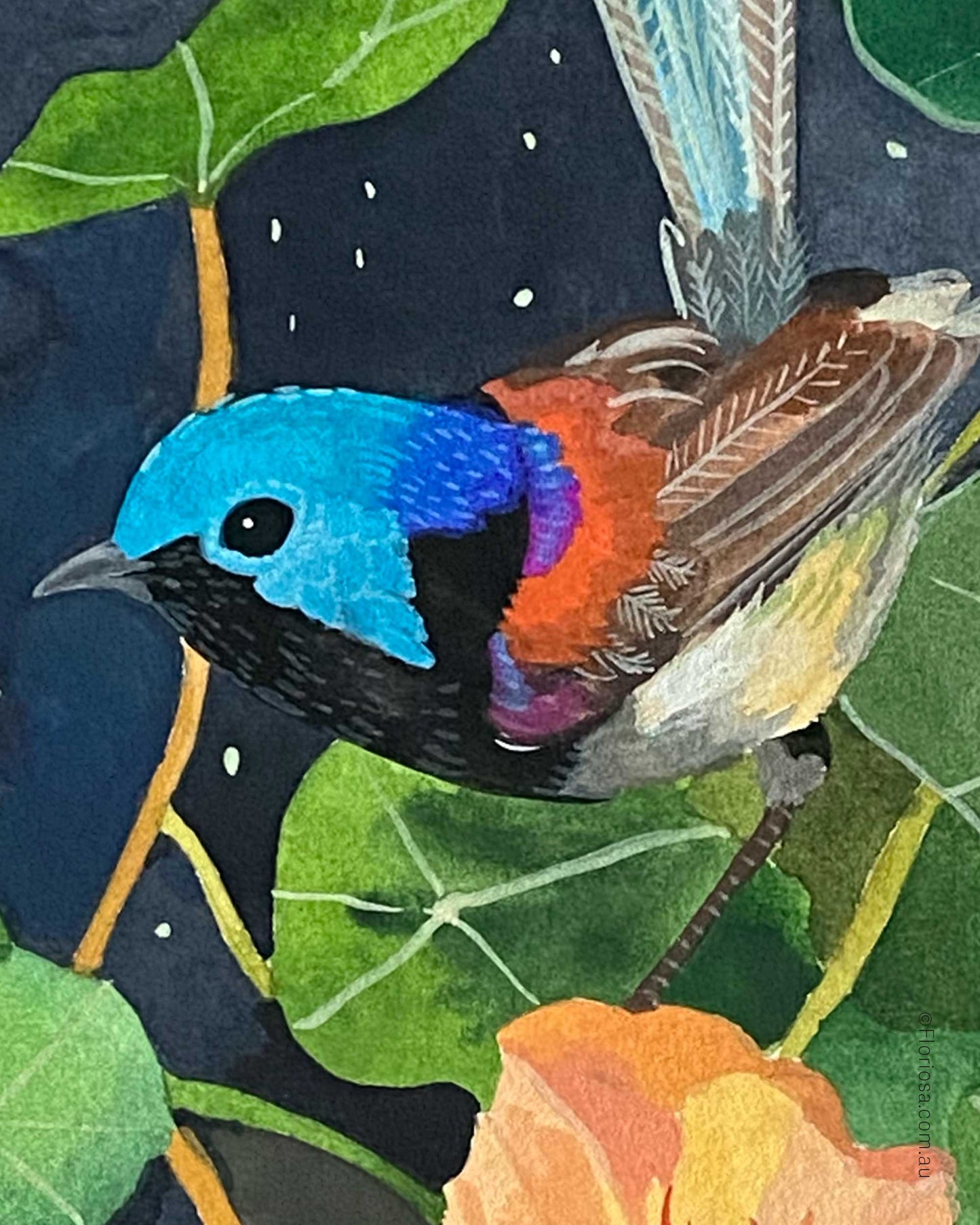 Fairywren Amongst Nasturtiums - Original Watercolour Painting