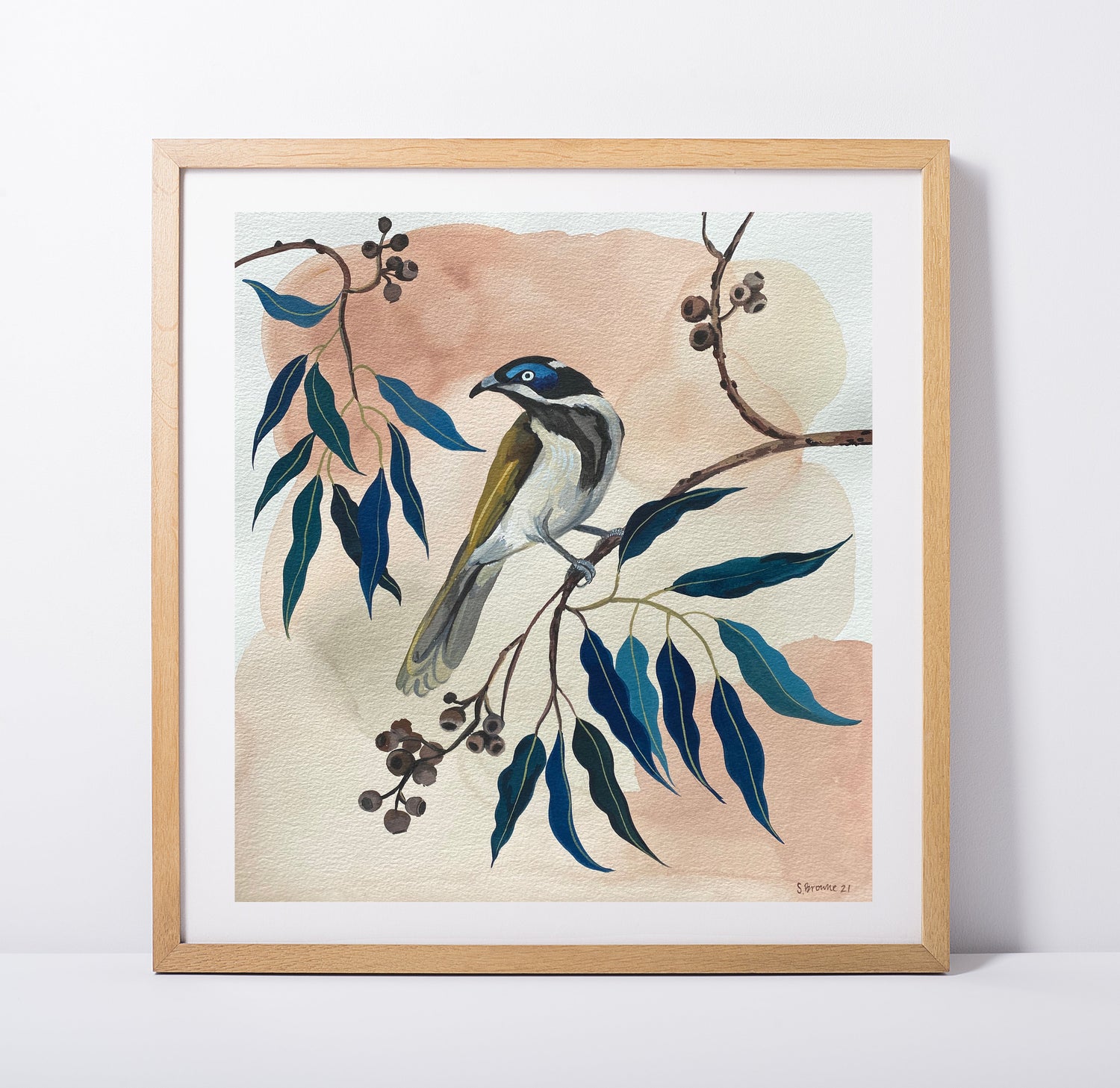 Birds