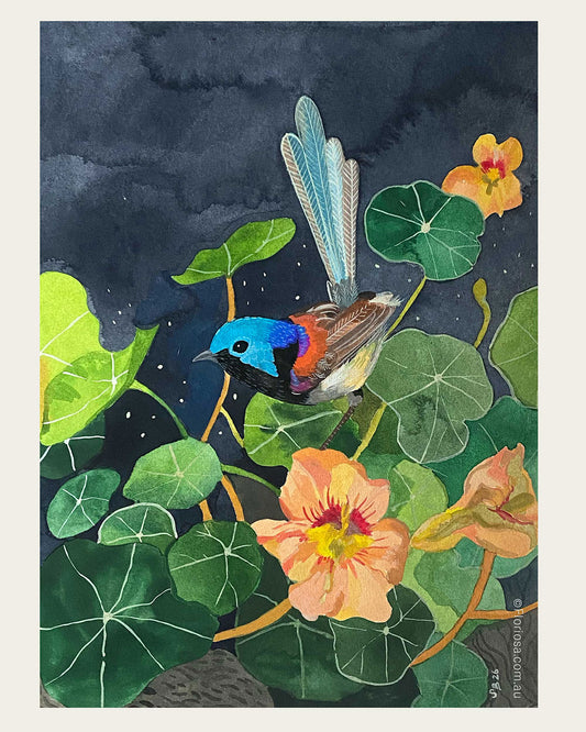 Fairywren Amongst Nasturtiums - Original Watercolour Painting