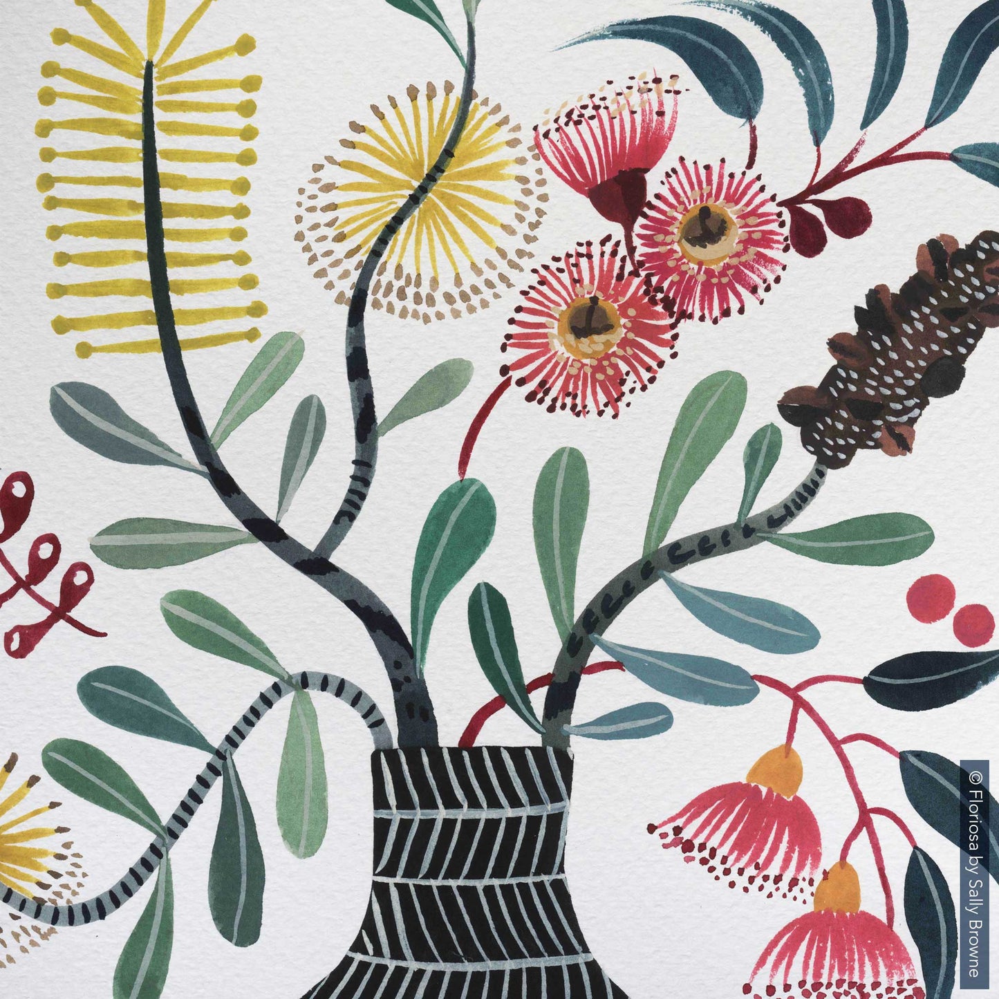 Gum Blossom and Banksia in Murray's Vase - Limited Edition Print on Archival Paper
