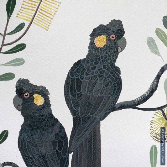 Black Cockatoos and Coastal Banksia - Limited Edition Print on Archival Paper