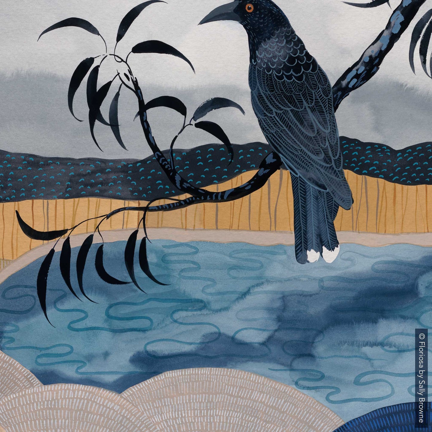 Currawongs at the Billabong - Limited Edition Print on Archival Paper