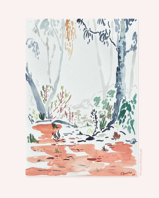 Grey Gums and Mistletoe - Original Watercolour Painting