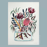 Mixed Native Flowers – Australian Botanical Fine Art Print (Signed, Limited Edition)