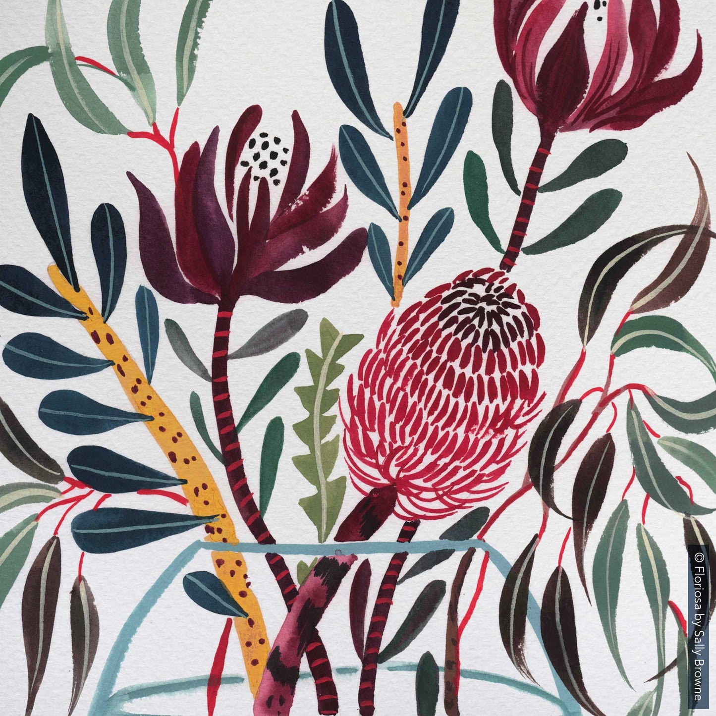 Mixed Natives in Glass - Limited Edition Print on Archival Paper