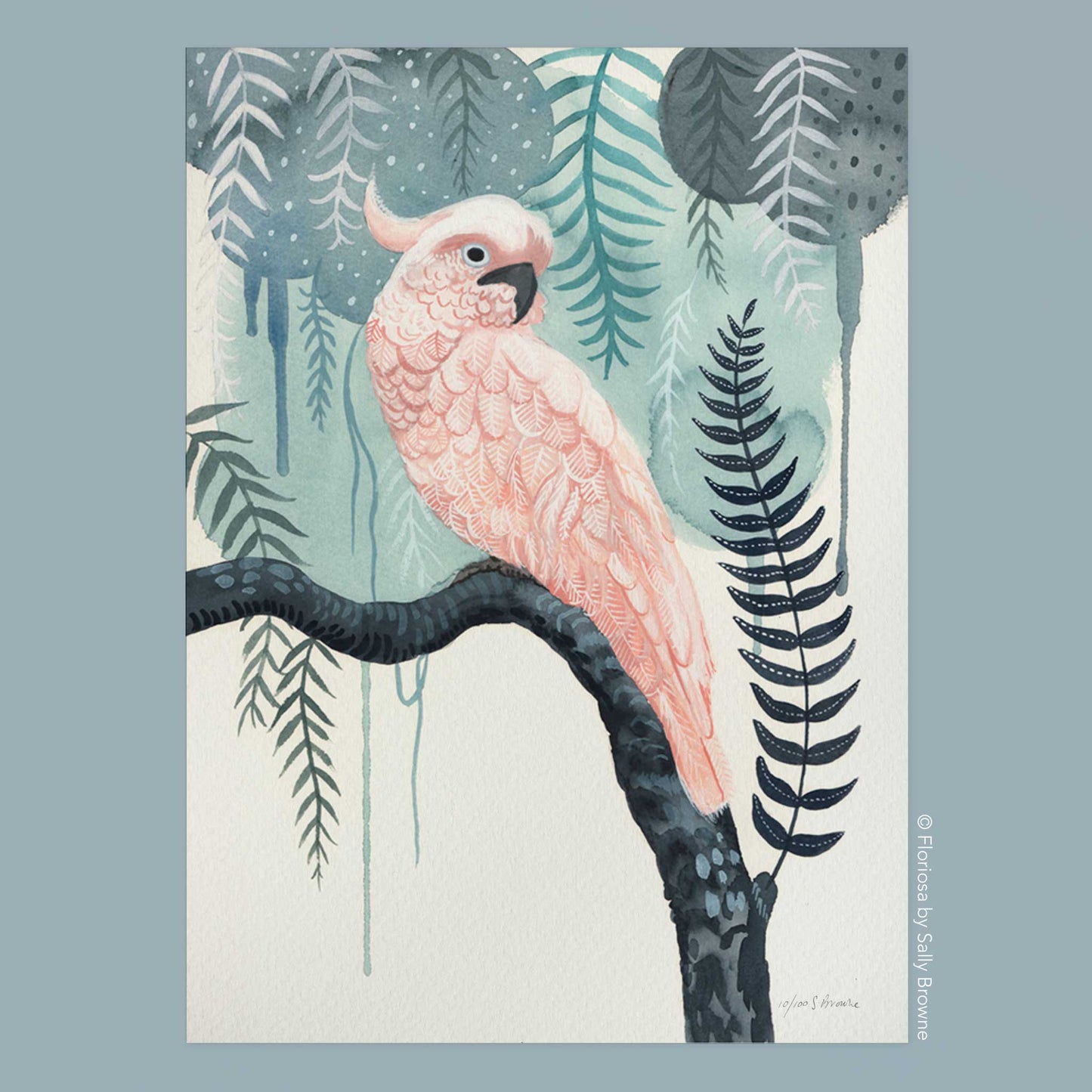 Pink Cockatoo Fairyfloss - Limited Edition Print on Archival Paper