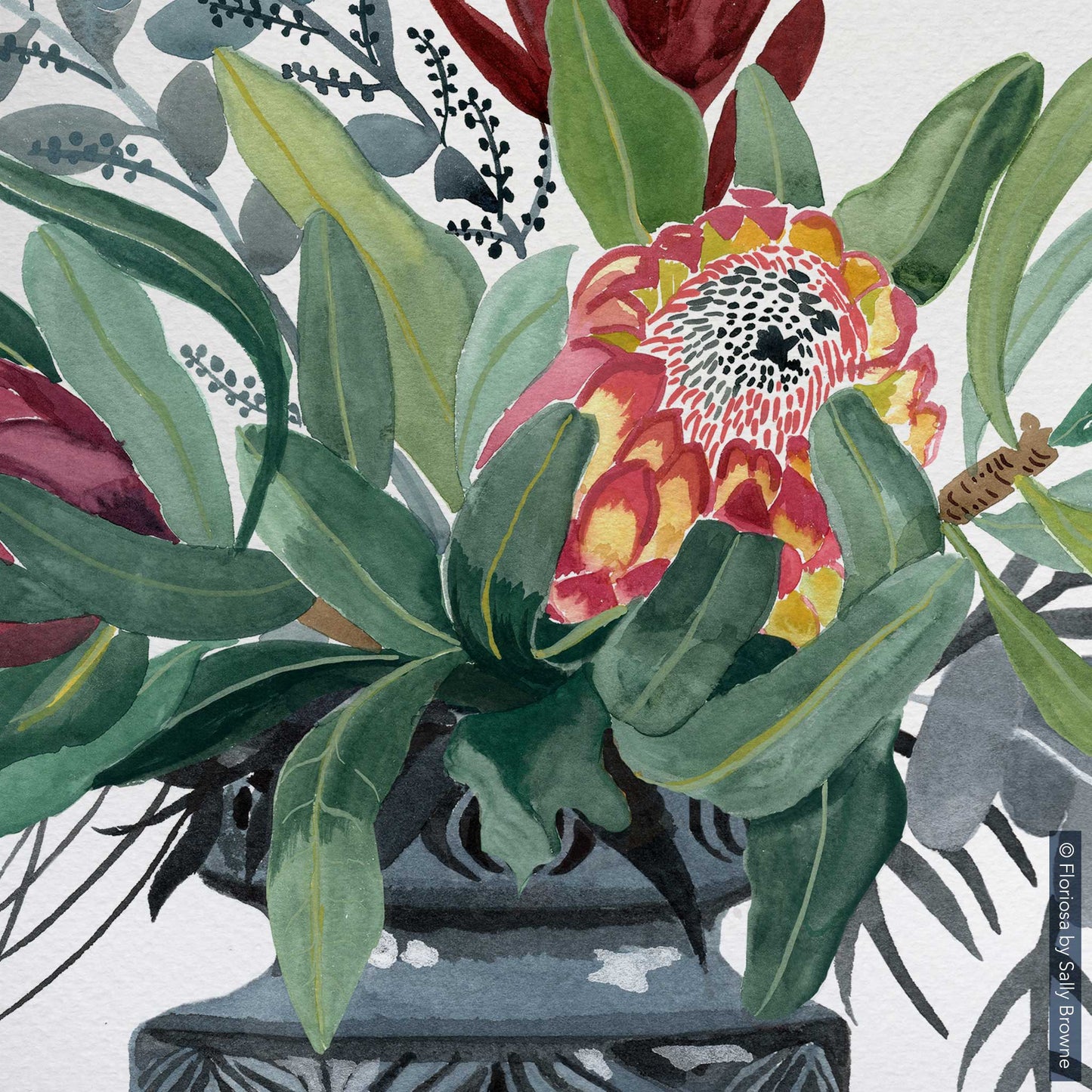 Proteas in Grey Onion Vase - Limited Edition Print on Archival Paper