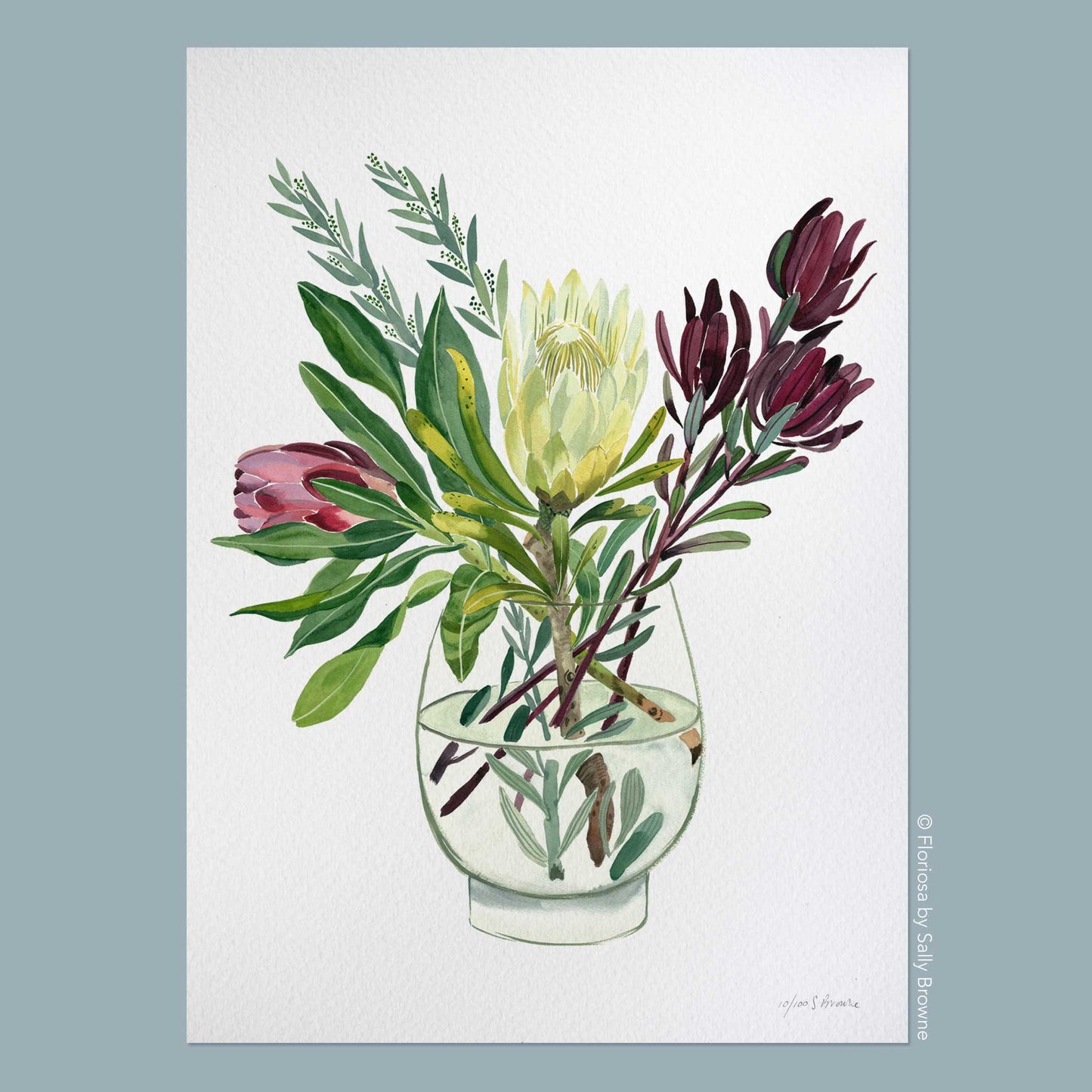 Proteas and Leucadendrons - Limited Edition Print on Archival Paper