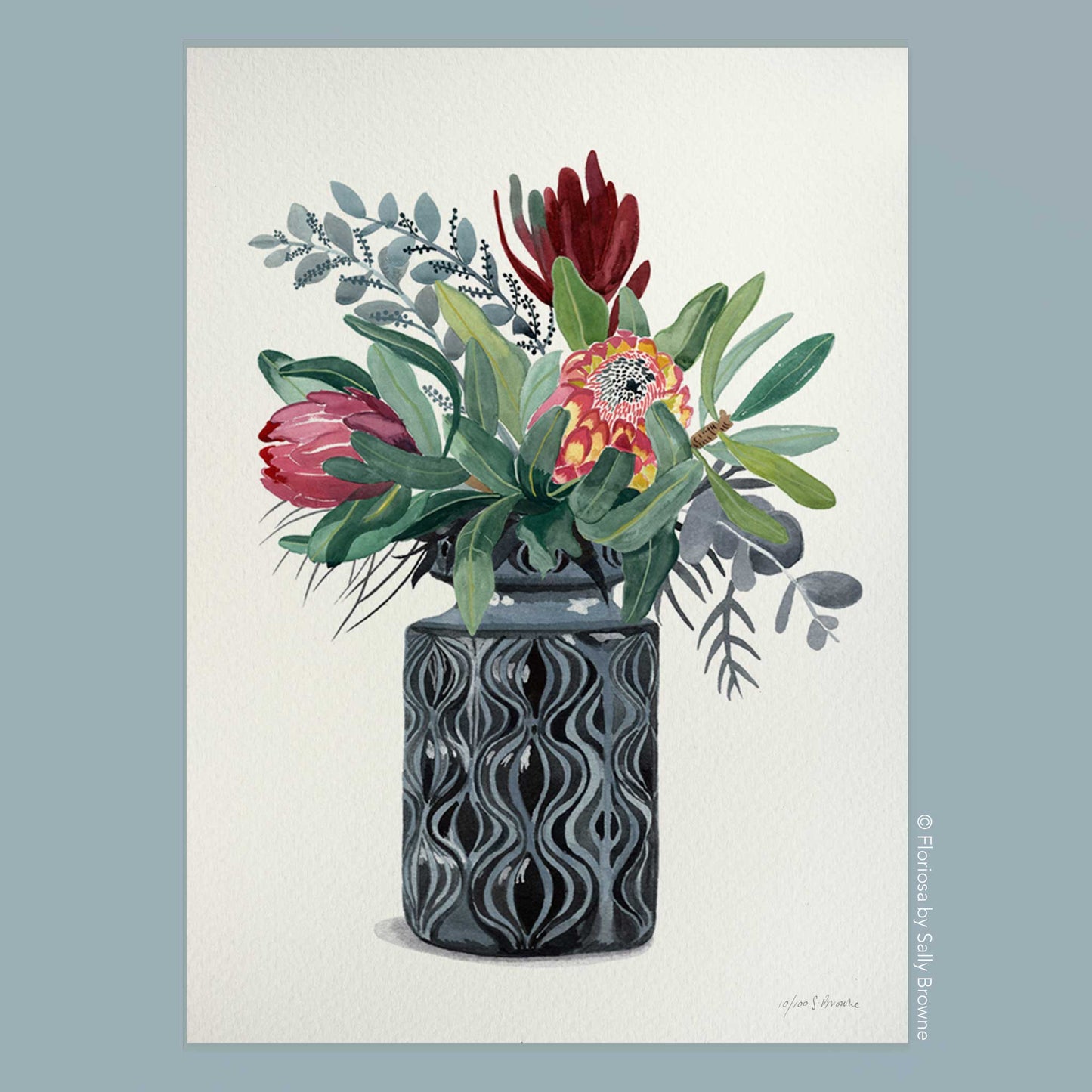 Proteas in Grey Onion Vase - Limited Edition Print on Archival Paper