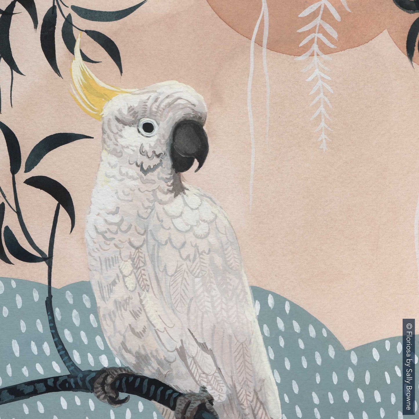 Cockatoo Sunshower - Limited Edition Print on Archival Paper