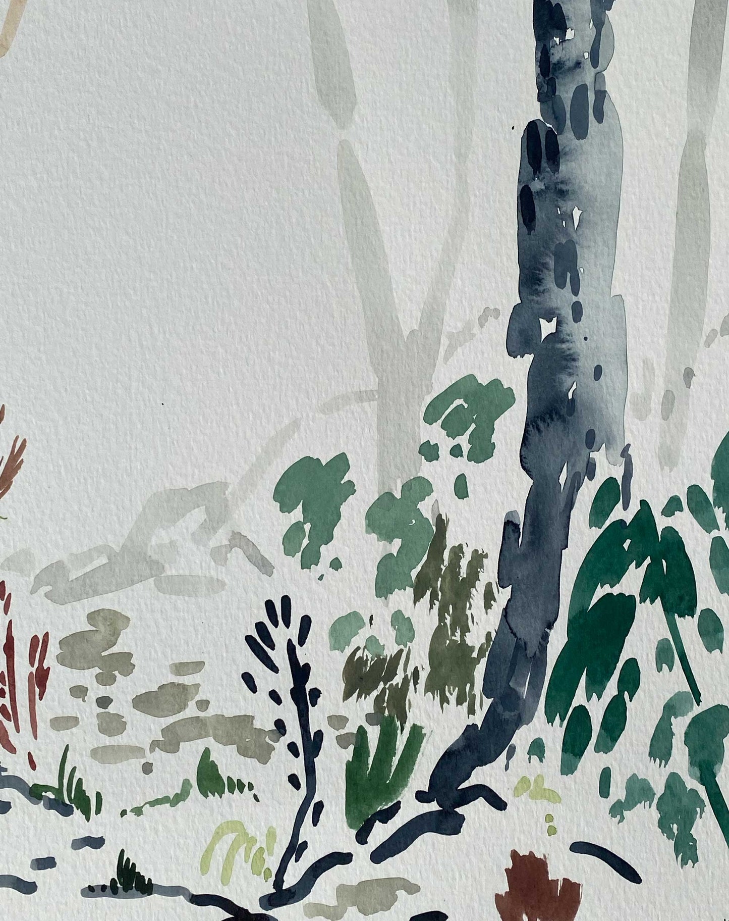 Grey Gums and Mistletoe - Original Watercolour Painting