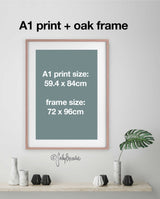 Proteas and Leucadendrons, Limited edition signed Fine Art Print