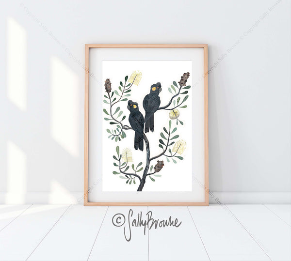 Black Cockatoos and Coastal Banksia, Limited Edition Signed Fine Art Print
