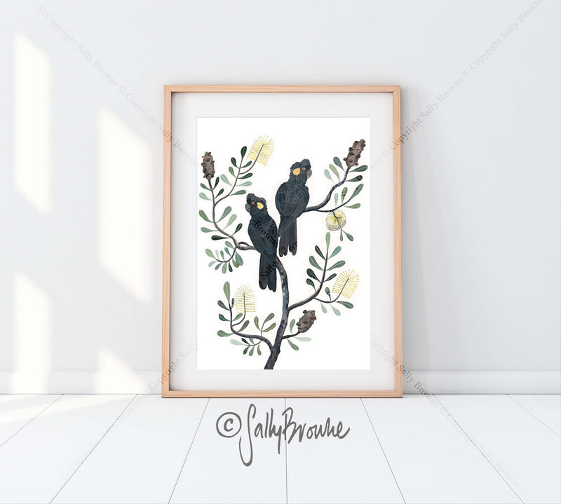Black Cockatoos and Coastal Banksia, Limited Edition Signed Fine Art Print
