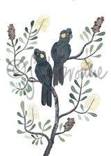 Black Cockatoos and Coastal Banksia, Limited Edition Signed Fine Art Print