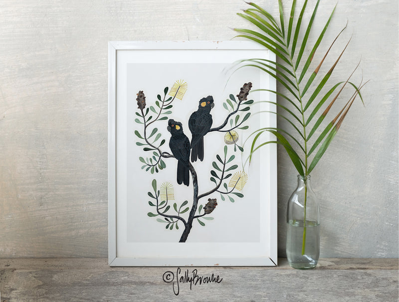 Black Cockatoos and Coastal Banksia, Limited Edition Signed Fine Art Print