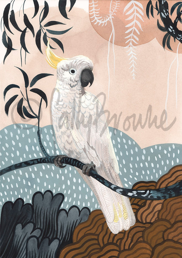 Sulphur Crested Cockatoo Sun Shower, Limited Edition Signed Fine Art Print