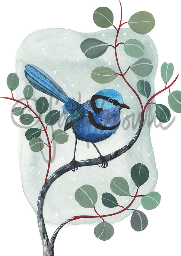 Splendid Fairy Wren and Silver Dollar Eucalyptus, Limited Edition Signed Fine Art Print
