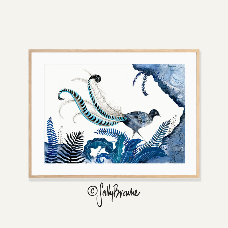Indigo Lyrebird, Limited Edition Signed Fine Art Print