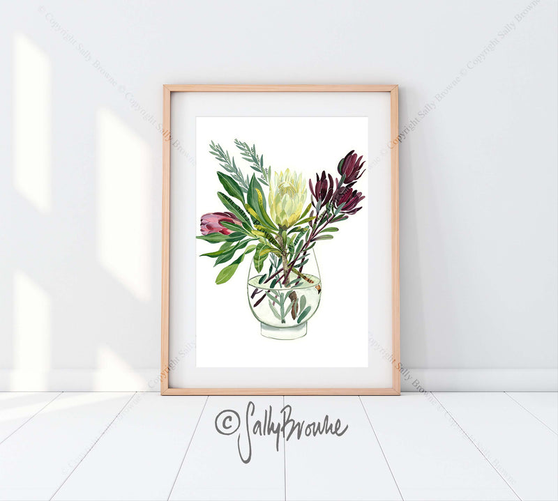 Proteas and Leucadendrons, Limited edition signed Fine Art Print
