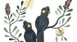 Black Cockatoos and Coastal Banksia, Limited Edition Signed Fine Art Print