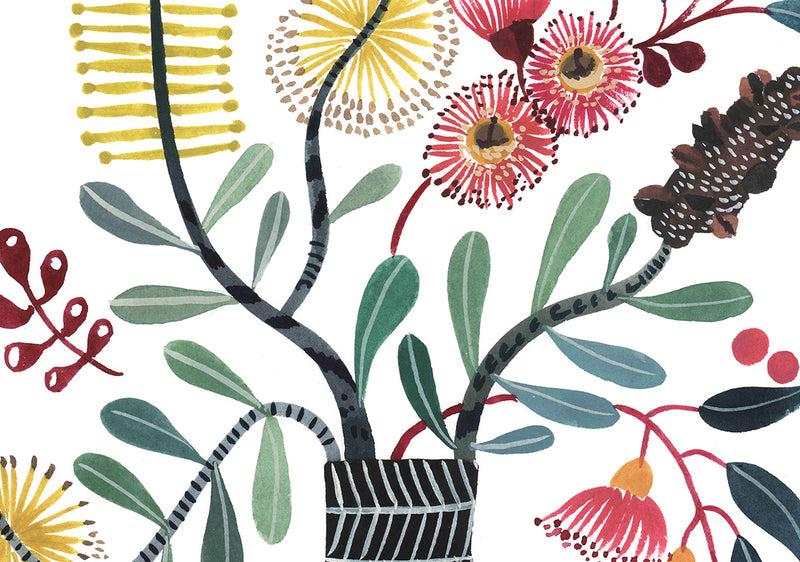 Coastal Banksia and Gum Blossoms in Murray's Vase