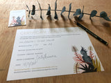Indigo Lyrebird, Limited Edition Signed Fine Art Print