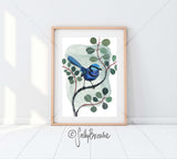 Splendid Fairy Wren and Silver Dollar Eucalyptus, Limited Edition Signed Fine Art Print
