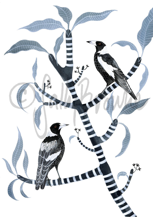 Two for Joy, Australian Magpie and Frangipani, Limited Edition Signed Fine Art print.