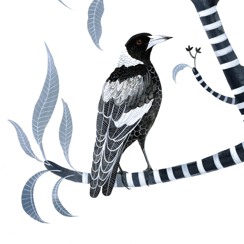 Two for Joy, Australian Magpie and Frangipani, Limited Edition Signed Fine Art print.