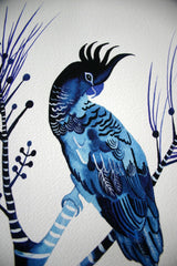 Indigo Cockatoos & Banksia Pines, Limited Edition Signed Fine Art print