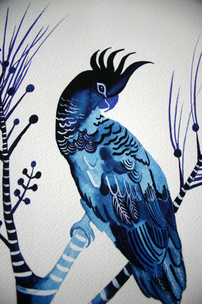 Indigo Cockatoos & Banksia Pines, Limited Edition Signed Fine Art print