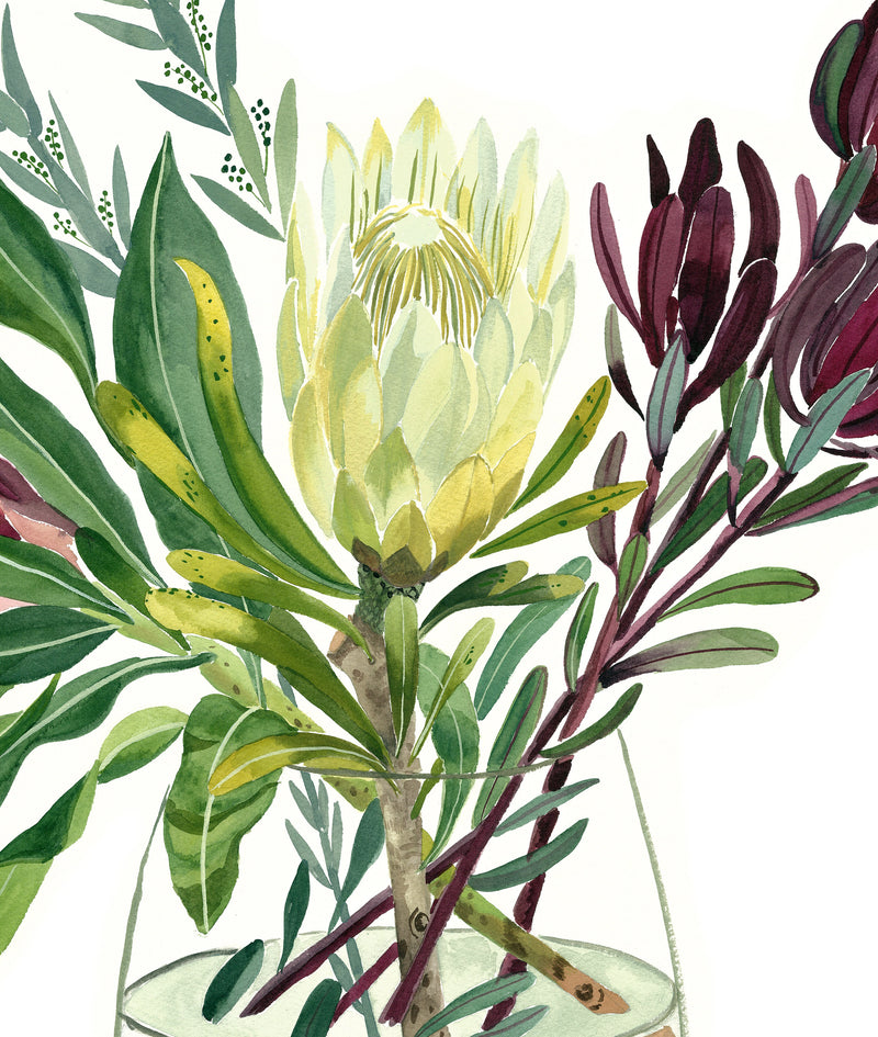 Proteas and Leucadendrons, Limited edition signed Fine Art Print