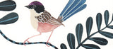 Purple Crowned Fairy Wren, Limited Edition Signed Fine Art Print