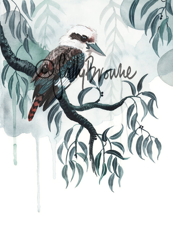 Kookaburra Rain, Limited Edition Signed Fine Art Print